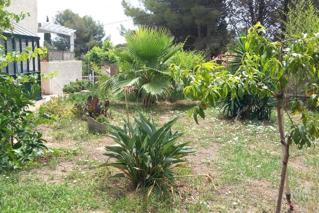 Villa Magali Grande Terrasse Vue Mer, Jardin, Proche Port La Ciotat Exteriör bild