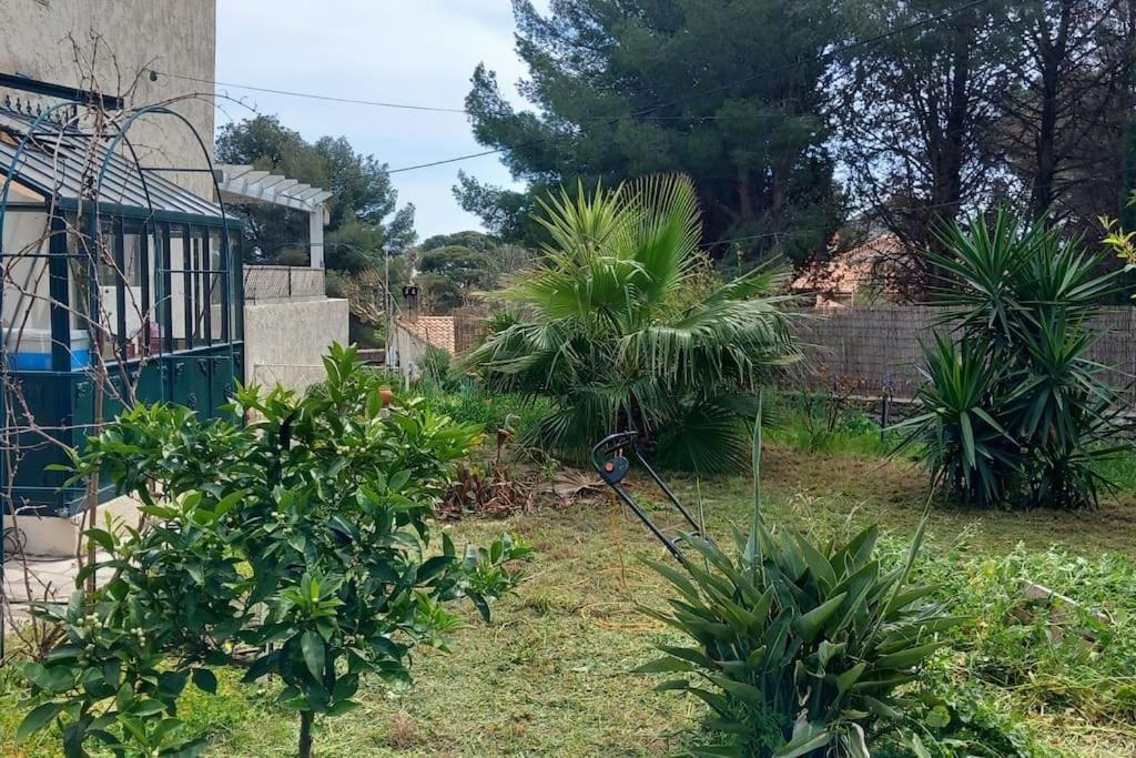 Villa Magali Grande Terrasse Vue Mer, Jardin, Proche Port La Ciotat Exteriör bild